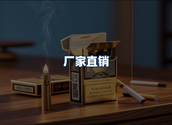 专业团队办公环境